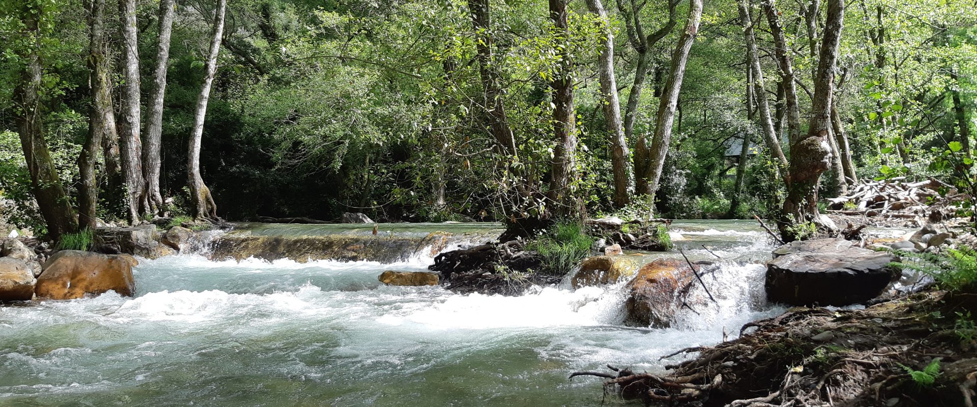 Fragas de São simão